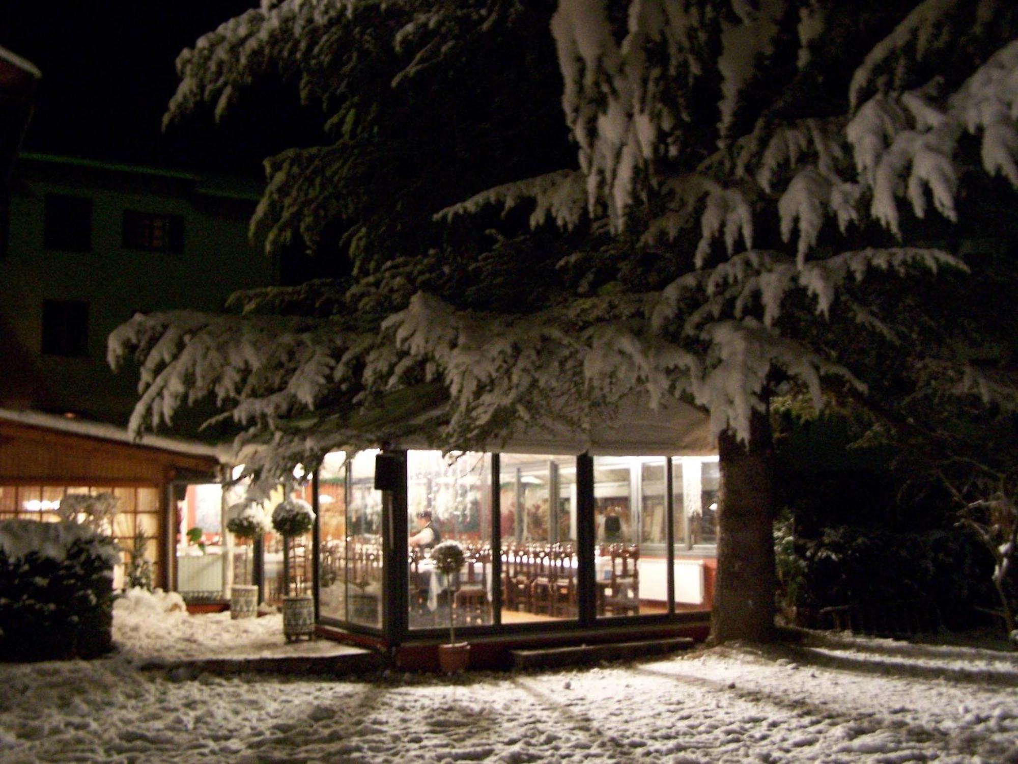Aero Hotel Cerdanya Ca L'Eudald Альп Экстерьер фото